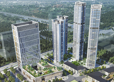 中国·深圳·深国际前海智